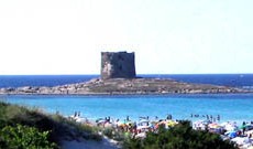 stintino